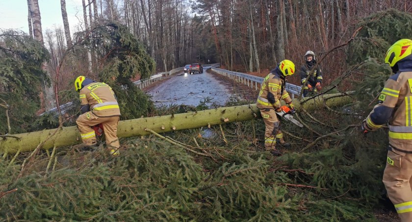 Strażacy z Obrytego usuwali skutki silnego wiatru
