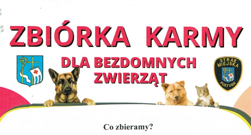 Trwa zbiórka dla bezdomnych zwierząt - zachęcamy do wsparcia!