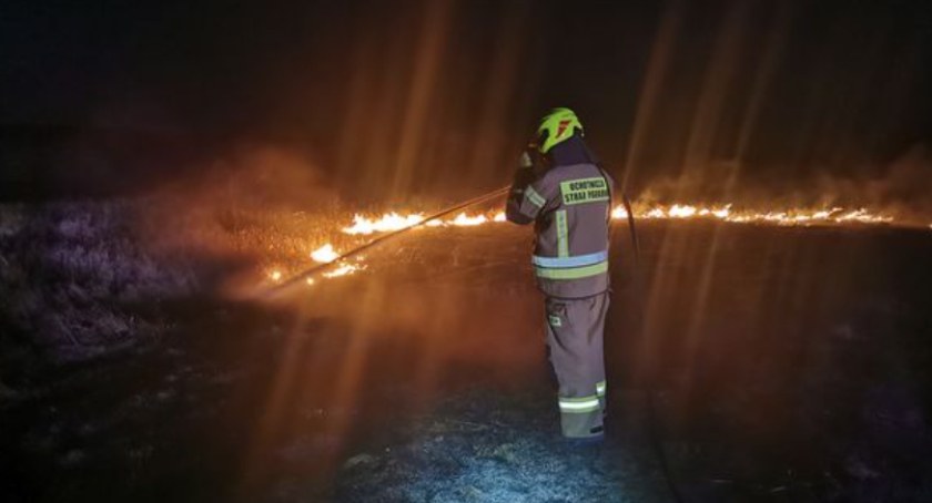 Pożar traw w Ciółkowie Rządowym