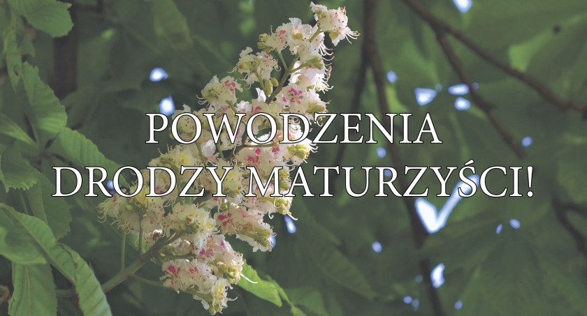 Powodzenia na maturze!
