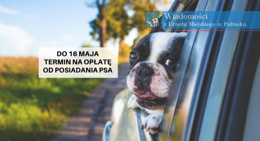 Pamiętaj – w maju opłata za psa