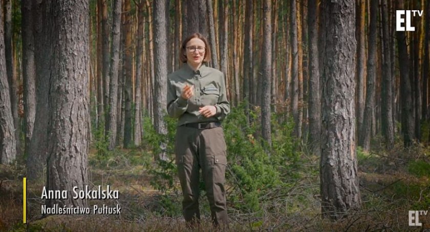  Jak leśniczy dba o swoje ptaki? - kolejny odcinek z cyklu „Oblicza lasów”