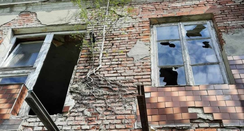 Przyroda poradzi sobie w najcięższych warunkach!