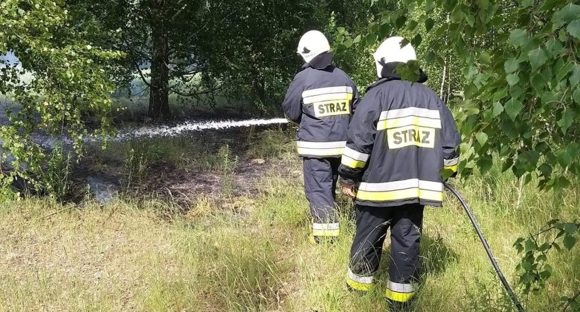 Strażacy ugasili pożar traw w Obrytem