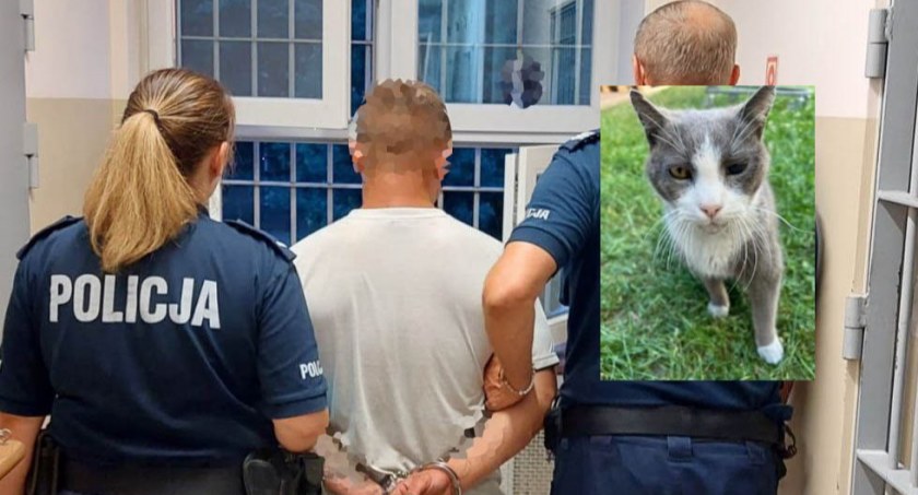 U sąsiadów: znęcał się nad kotem, grozi mu do 3 lat