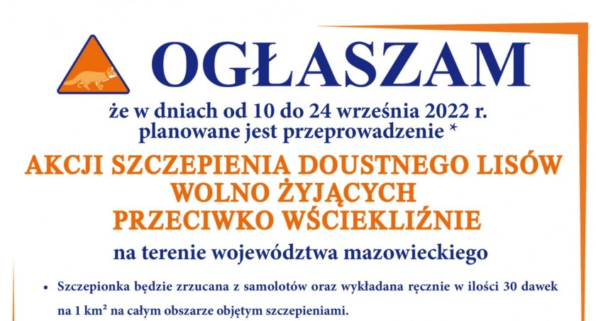 Akcja szczepienia lisów zaplanowana na wrzesień