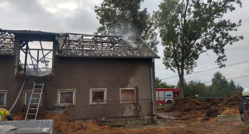 Zagrożenie było ogromne - pożar stodoły w Winnicy gasiło 46 strażaków