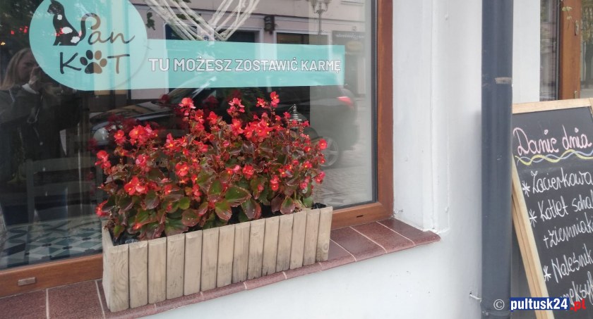 Tu możesz zostawić karmę! - okno życia dla zwierzaków ze Stowarzyszenia Pan Kot
