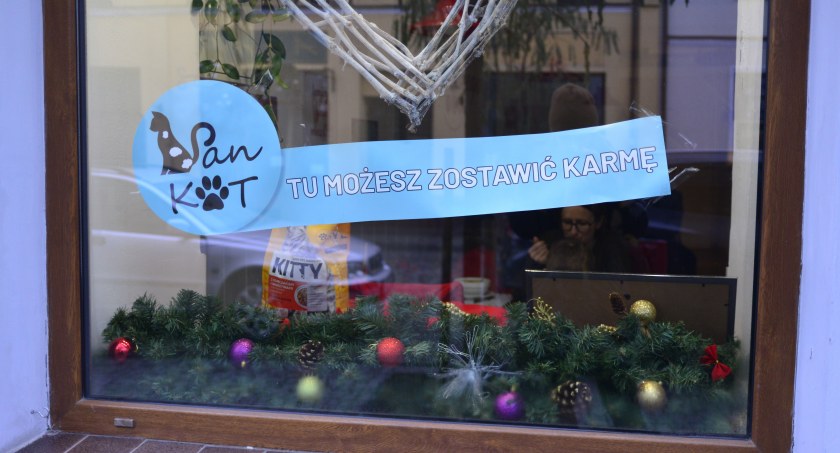 Trwa zbiórka karmy dla potrzebujących Kotów