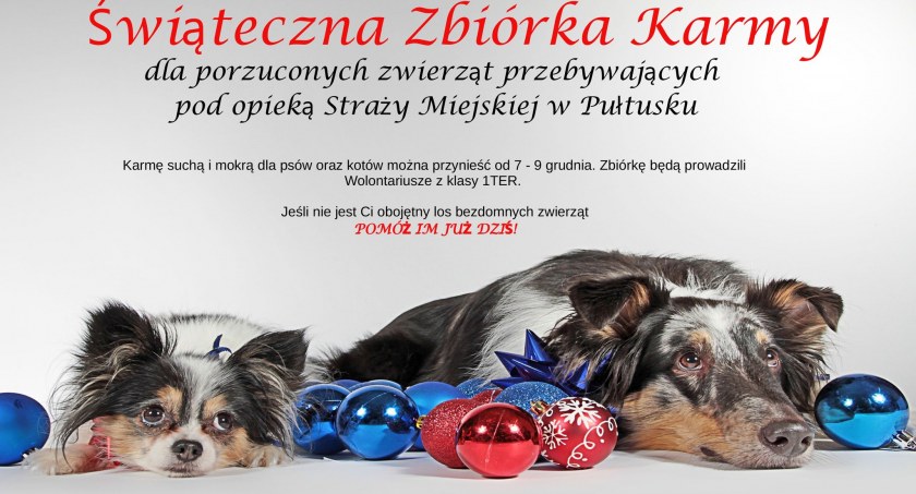 Świąteczna Zbiórka Karmy