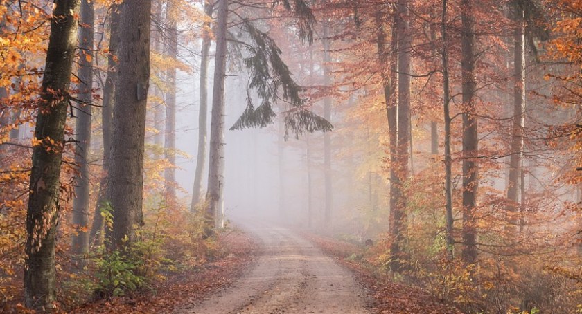 Pogoda IMiGW na Sylwestra i Nowy Rok