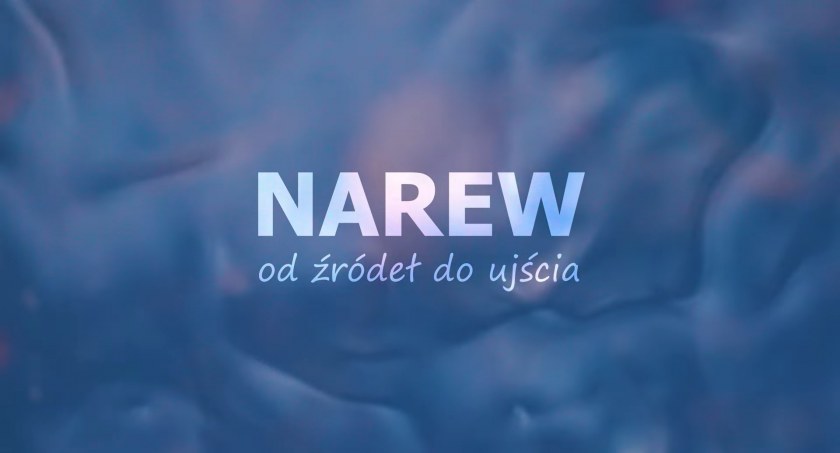 Narew - od źródeł do ujścia - Film przyrodniczy o naszej rzece