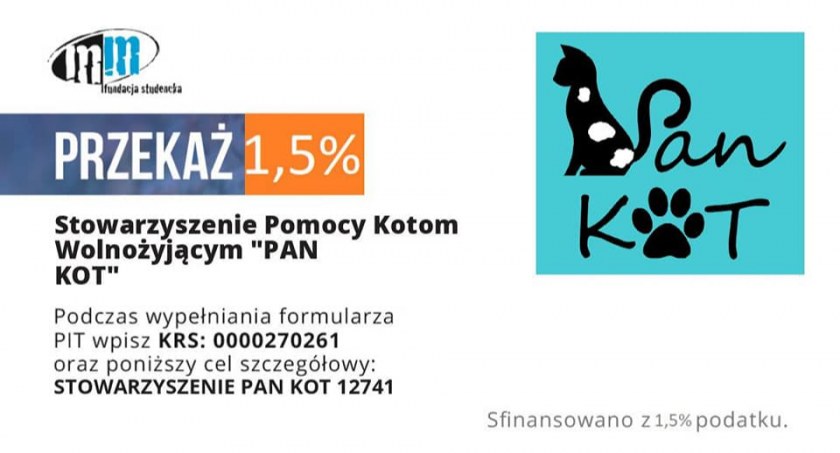 Dziś dzień kota - to dobra okazja, aby wspomóc pułtuskie stowarzyszenie