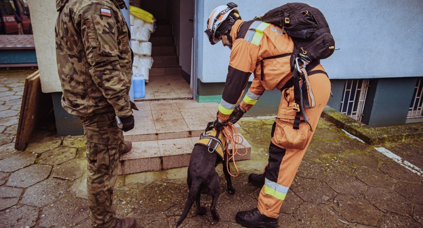 Gruzowisko, terytorialsi… i psy – szkolenie Grupy Poszukiwawczo-Ratowniczej K9