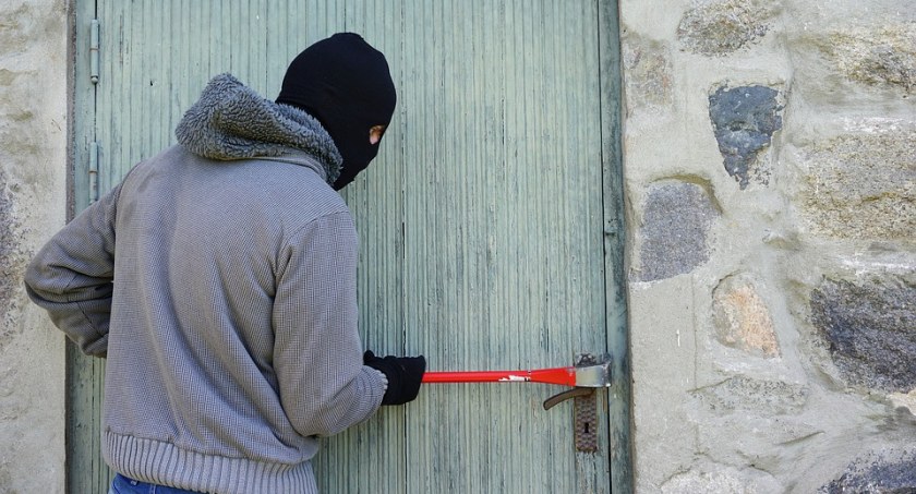 Nasiliły się kradzieże na działkach i w budynkach gospodarczych