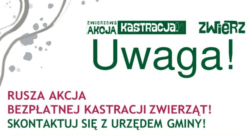 Warto skorzystać. Darmowa kastracja zwierząt