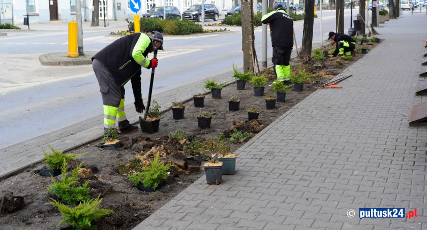 PPUK sadzi nowe roślinki