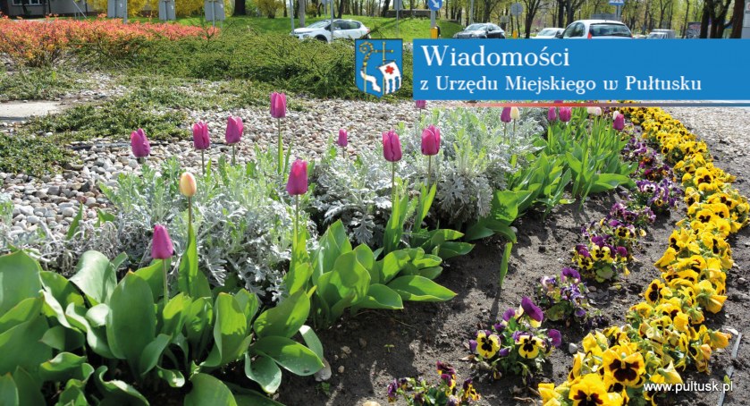 Miasto Kwitnie!