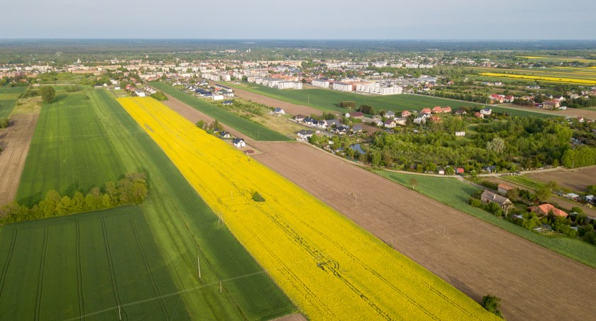 Żółto wokół Pułtuska