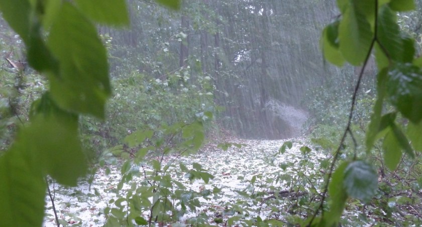 Meteorolodzy zapowiadają burze 