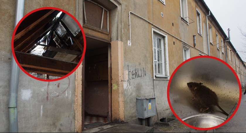 Tu nie da się normalnie żyć!