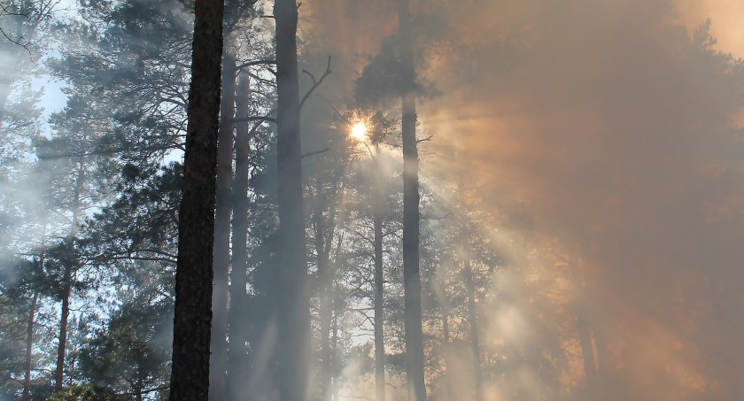 Alert RCB. Zagrożenie pożarowe w lasach!