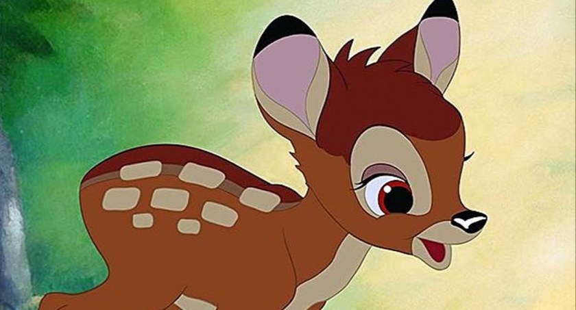 Pułtuski Bambi, jak z bajki