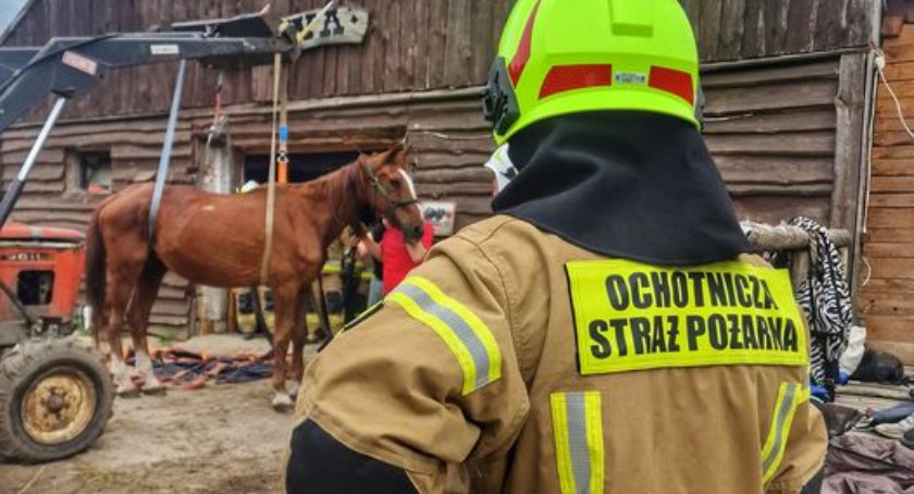 Nietypowa interwencja strażaków z OSP Świercze
