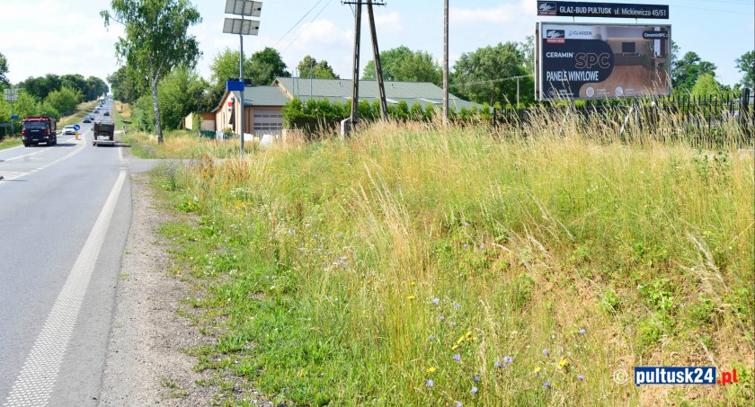 Kwietne łąki zamiast rowów na DK 61. Piękne, ale niebezpieczne. Kiedy zostaną wykoszone?