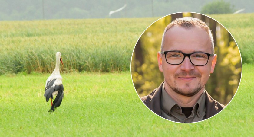 Leśniczy z Pułtuska pomógł rannemu bocianowi - wywiad z Krzysztofem Rylskim