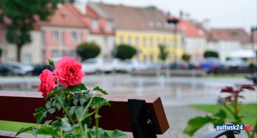 Wizytówka Pułtuska tonie w kwiatach
