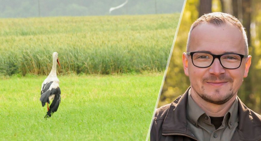 Leśniczy z Pułtuska uratowali rannego bociana - pełen wywiad z Leśniczym Krzysztofem Rylskim