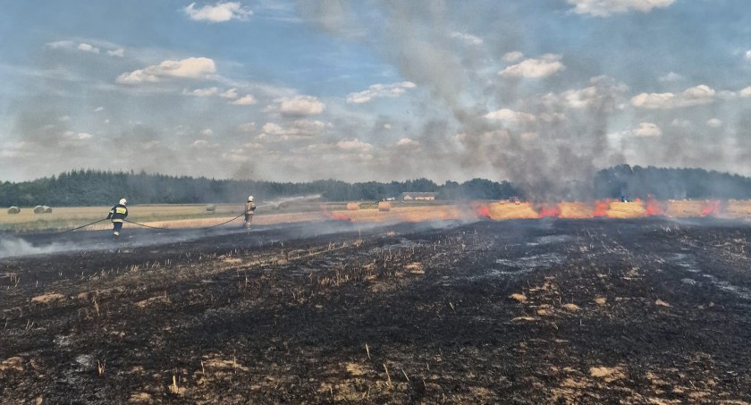 Ogromny pożar w gminie Świercze. Są straty