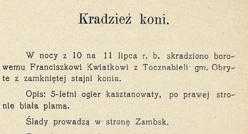 Skradziono konia w Tocznabieli… ślady prowadzą do Zambsk!