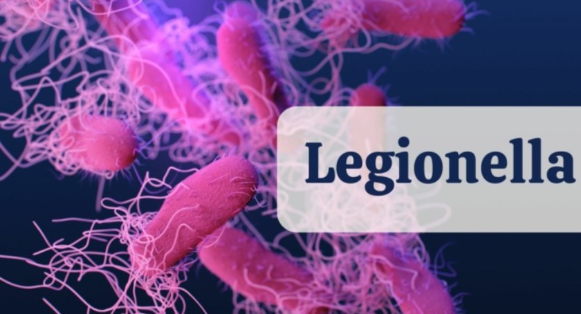  Bakteria Legionella - Sanepid informuje i ostrzega!