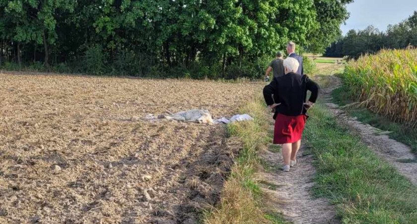 W Pękowie znaleziono martwego psa. Zwierzę miało ślad po postrzale