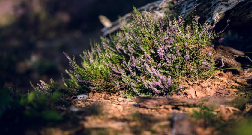 Piękny wrześniowy weekend – pogoda IMiGW