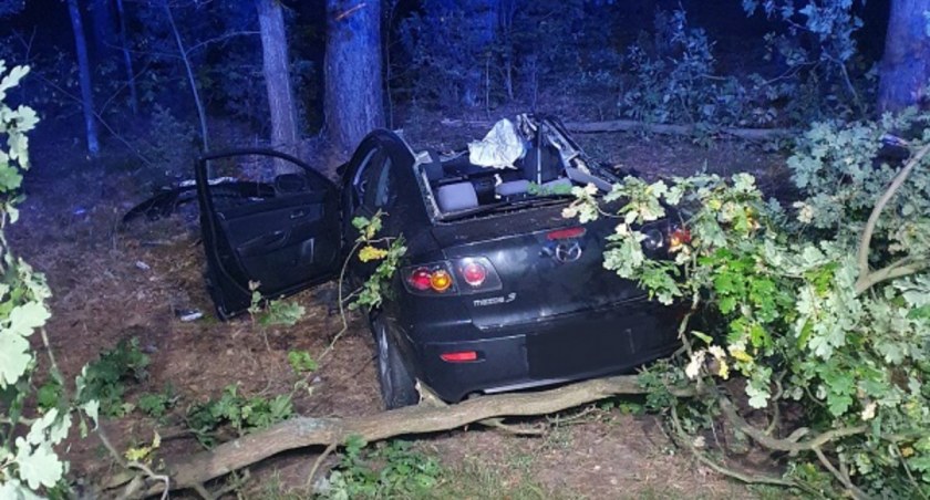 Ogromny łoś zderzył się z mazdą. 22-letni kierowca przewieziony do szpitala