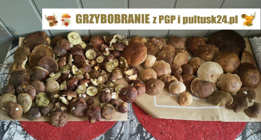  „Grzybobranie z PGP” - prezentujemy kolejne Wasze zbiory