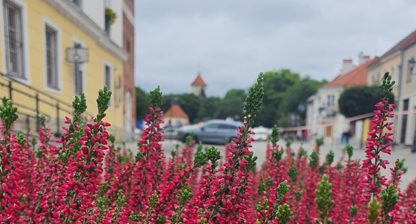 Wrzesień idzie na rekord ciepła! Dłuższe lato zawdzięczamy… Rosi. 