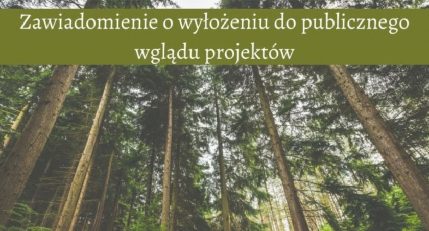 Zawiadomienie o wyłożeniu do publicznego wglądu projektów Uproszczonego Planu Urządzenia Lasu dla lasów niestanowiących własności Skarbu Państwa, stanowiących własność osób fizycznych i wspólnot gruntowych, obrębów ewidencyjnych gminy i miasta Pułtus