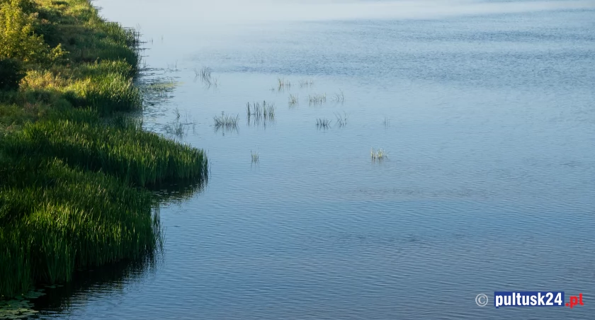 Narew nam zarasta