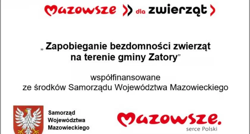 Zapobieganie bezdomności zwierząt w gminie Zatory - podsumowanie zadania