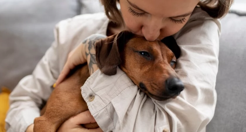 Dziś ruszyła aplikacja Animal Helper, działająca jak telefon alarmowy 112 dla zwierząt 