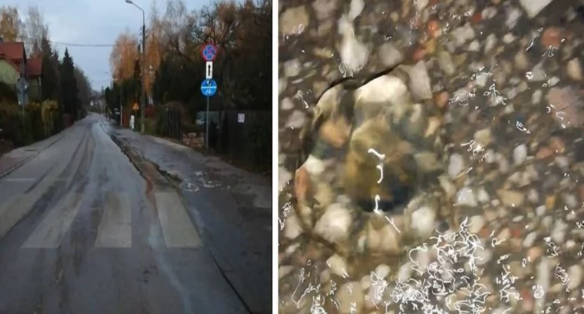Na Baltazara wybiło źródełko