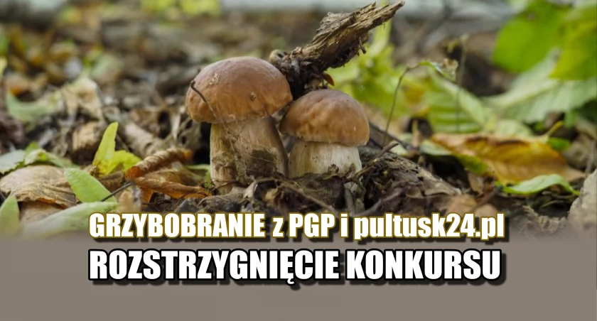 Grzybobranie z PGP i Pultusk24 – rozstrzygnięcie konkursu