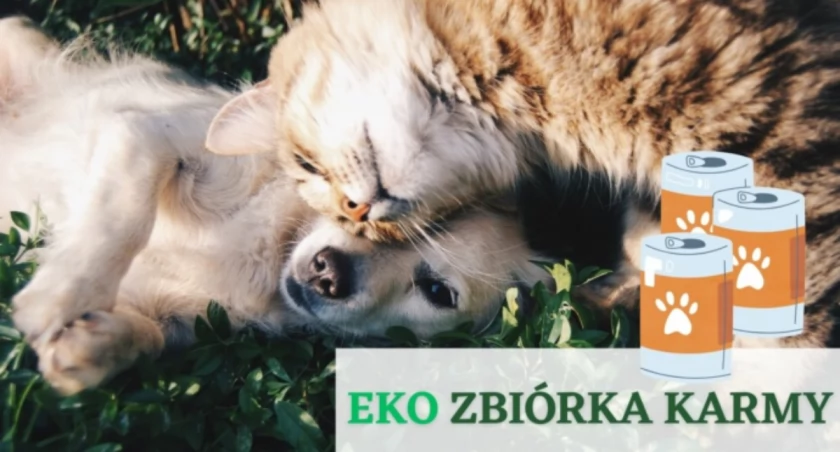 EKO Zbiórka karmy dla zwierząt