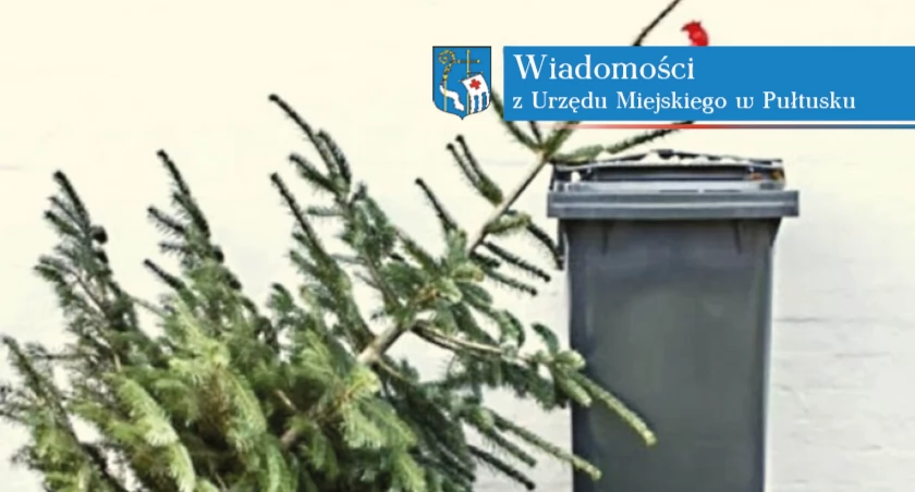 Zbiórka poświątecznych choinek - 15.01.2024 r.