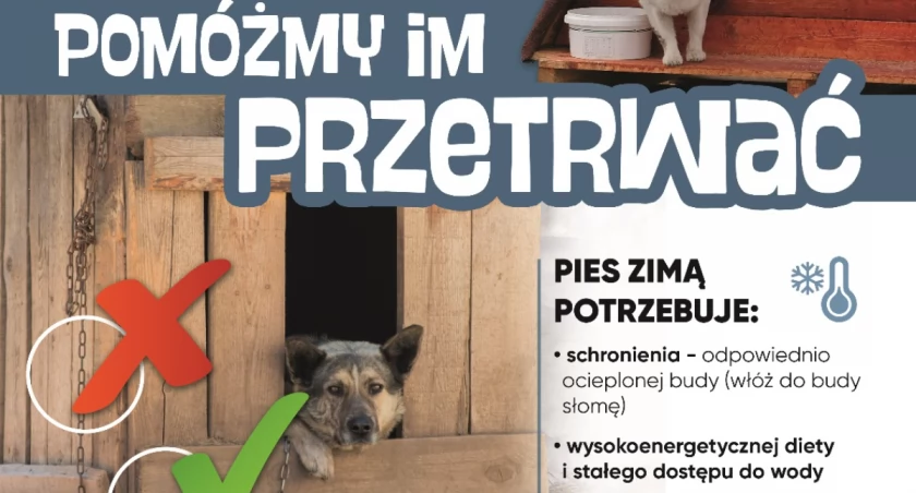 Zima to trudny czas dla zwierząt