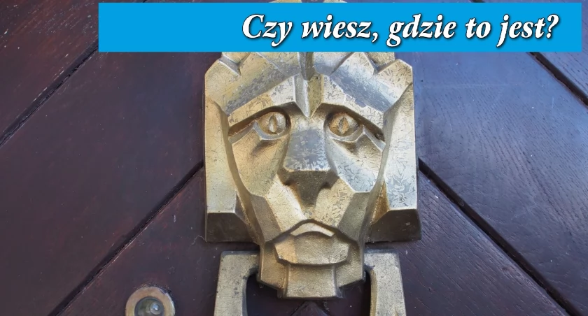 Gdzie znajdują się te drzwi, strzeżone przez tego pięknego lwa? Jeśli wiecie, weźcie udział w konkursie 